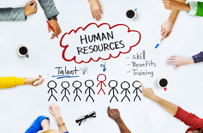 Human Resources Training Programs India
